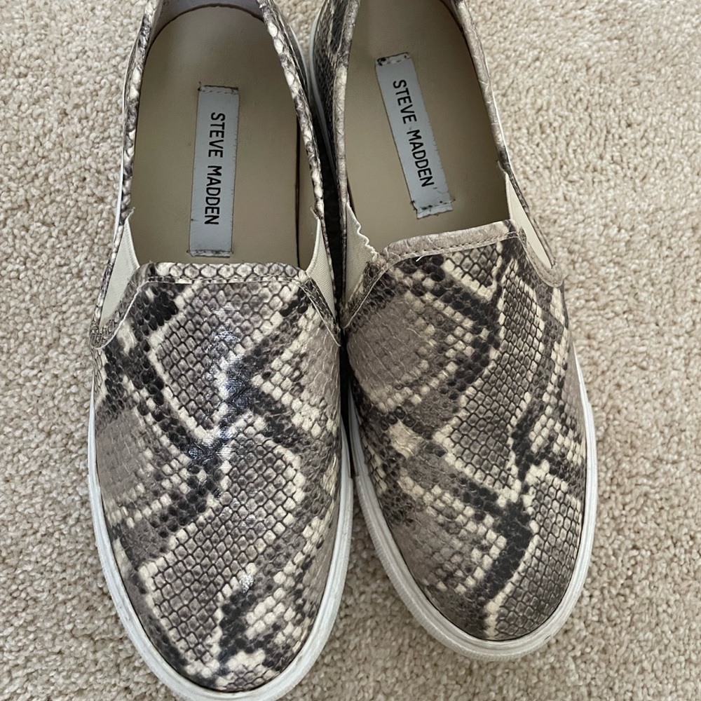 STEVE MADDEN Snakeskin Slip On Sneakers